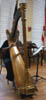 crystalladyofharp1