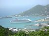 tortola-freedom