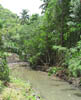 tortola-river